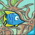 Fish Race Champions