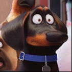 Puppy Life - Secret Pet Party