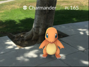 Pokémon GO screenshot