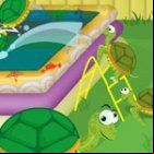 Turtle Pool
