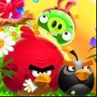 Angry Birds