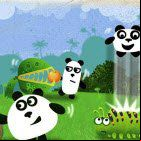 3 Pandas