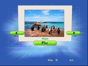 Family Puzzle screenshot