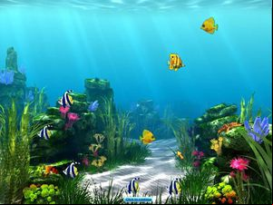 Tropical Fish Shop: Annabel's Adventure screenshot