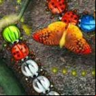 Beetle Bomp