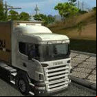 The Truck Driver