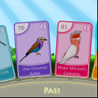 Bird Pax