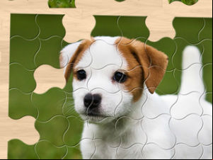 Jigsaw Puzzle Bug screenshot