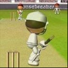 Flash Cricket 2